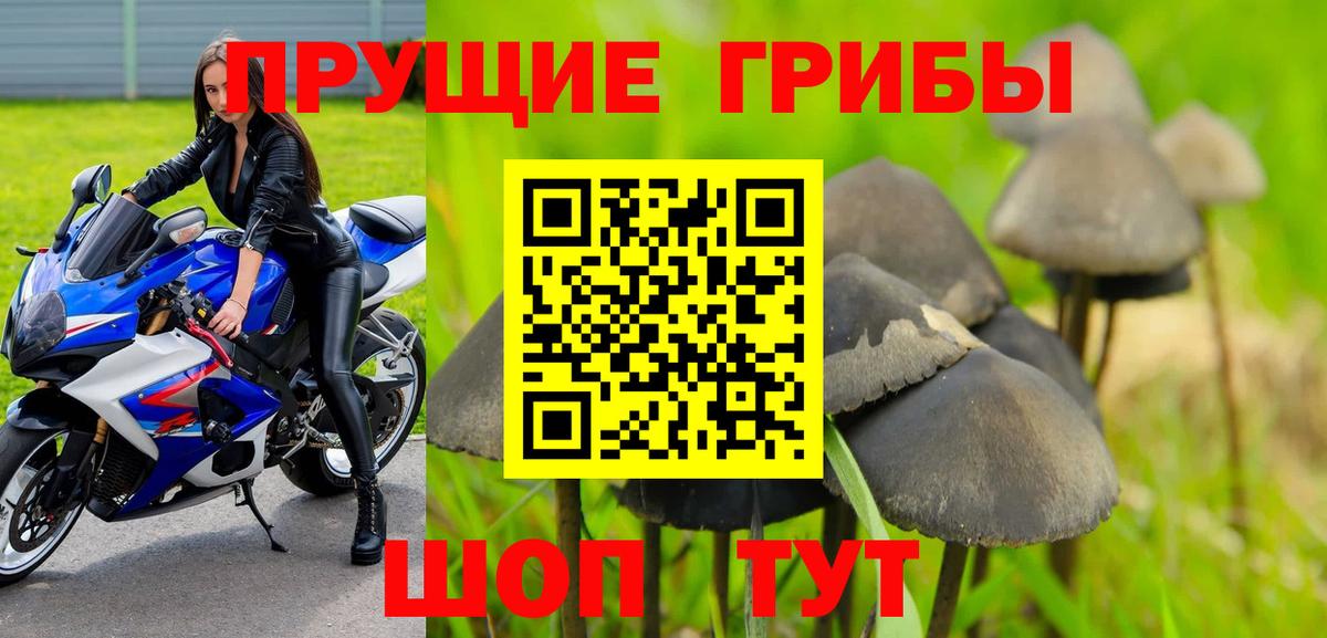 Псилоцибиновые грибы Magic Shrooms Кировск