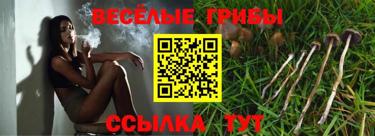 Псилоцибиновые грибы Magic Shrooms  Псилоцибиновые грибы Magic Shrooms  Вход с VPN  Кировск 
